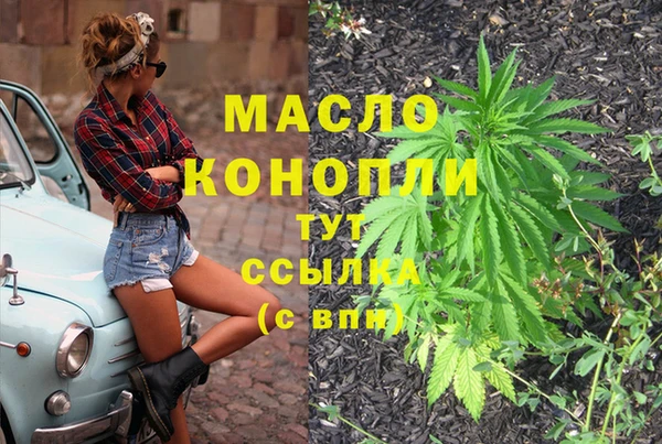 mix Богородицк